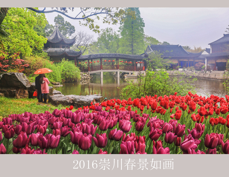 【大美崇川】  2016崇川春景美如画 (8).jpg