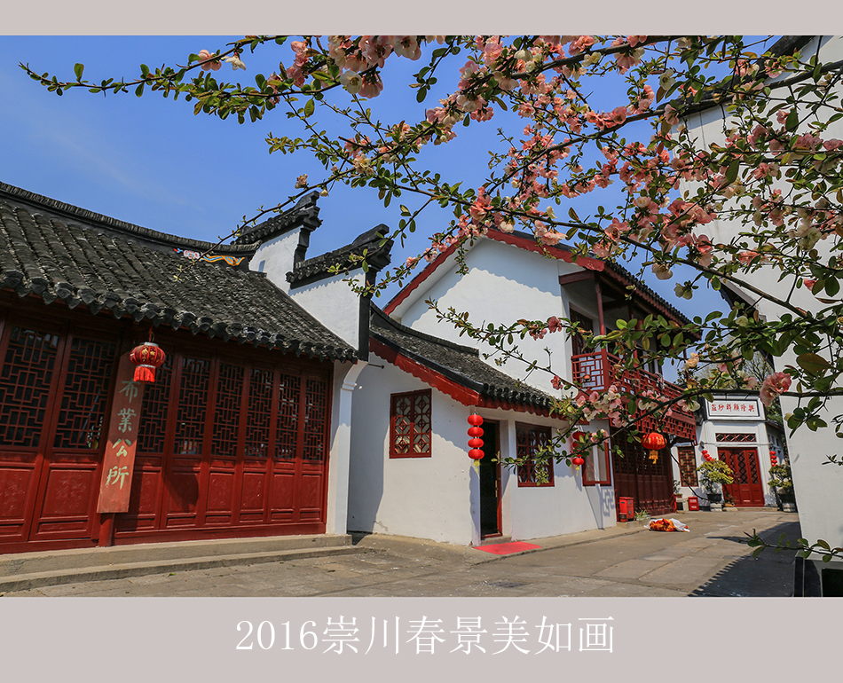 【大美崇川】  2016崇川春景美如画 (9).jpg