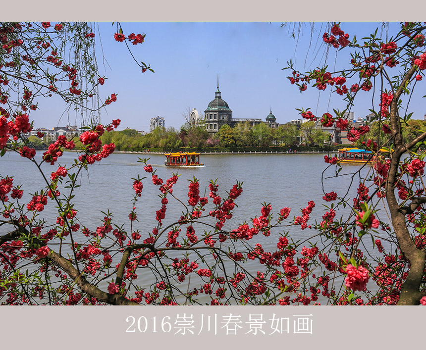 【大美崇川】  2016崇川春景美如画 (10).jpg