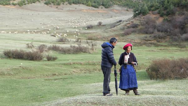 白玛多吉：搭起一座桥，让旅人在隐秘山居感受藏族文化的核心