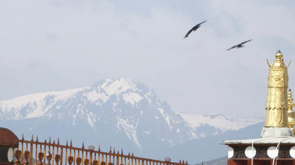 白玛多吉：搭起一座桥，让旅人在隐秘山居感受藏族文化的核心