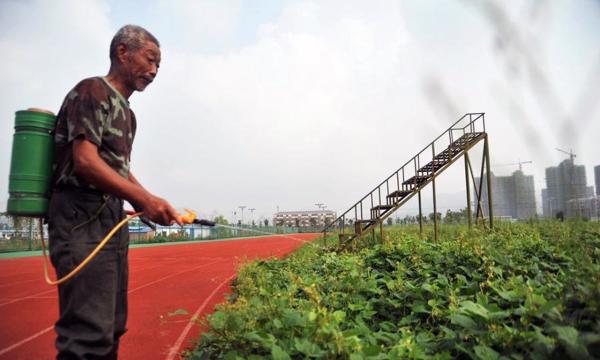 中国足球如何复制冰岛的成功？谁那么傻，不建房子建球场？