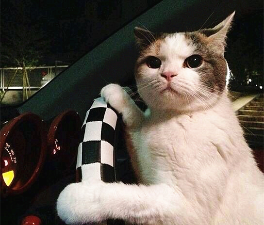 澎湃联播|老司机带你走近“高校性教育”