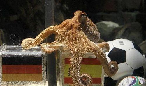 澎湃联播|不用证明我妈是我妈之后，还证明什么？