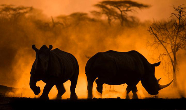 黑夜来临前一秒