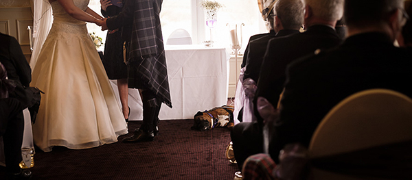 趣看｜9岁的婚礼摄影师：小身材，大味道