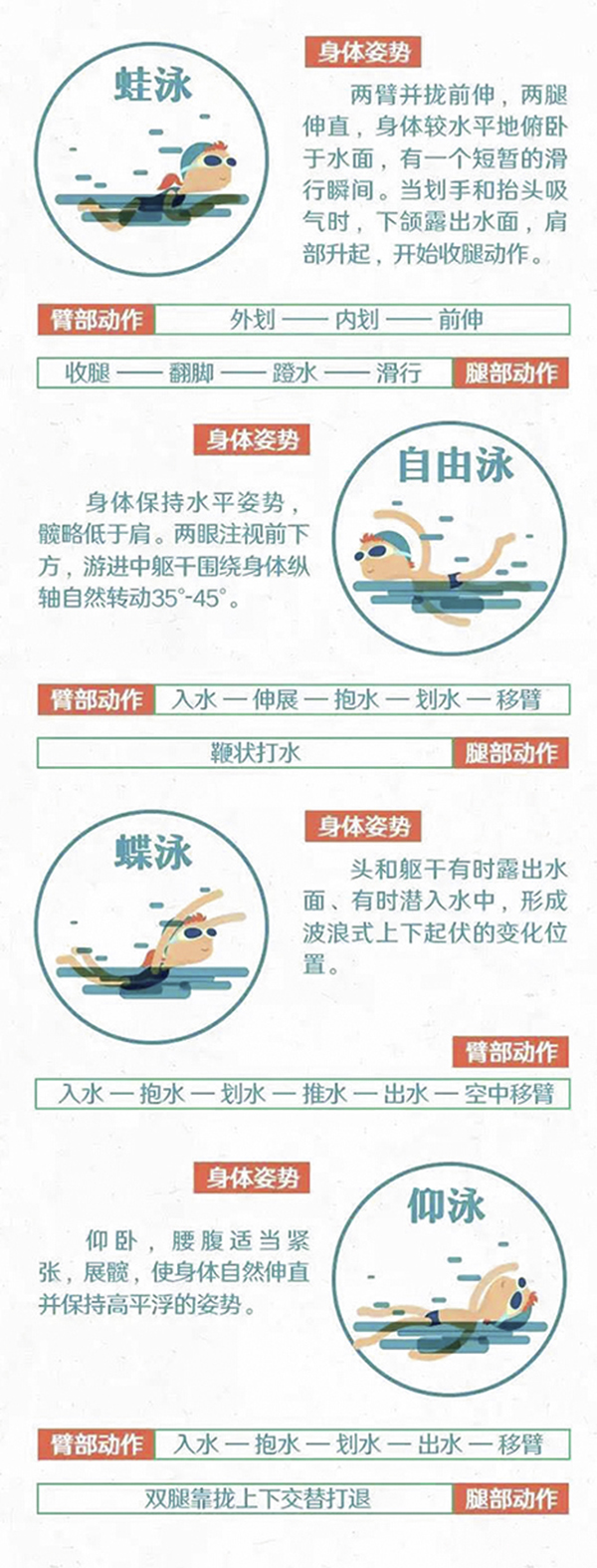 一图流 | 夏天想游泳减肥？你必须知道这些事