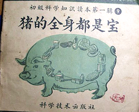 澎湃联播|一群Pig的奇幻“漂流”