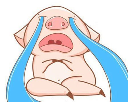 澎湃联播|一群Pig的奇幻“漂流”