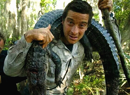 澎湃联播|一群Pig的奇幻“漂流”