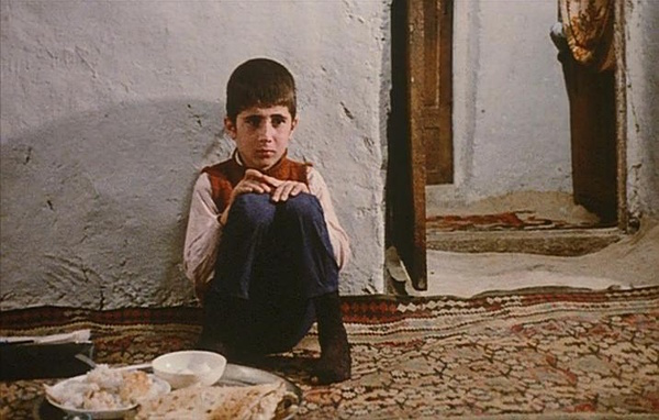 纪念阿巴斯｜那群樱桃树，是他暮年里生机勃勃的春天