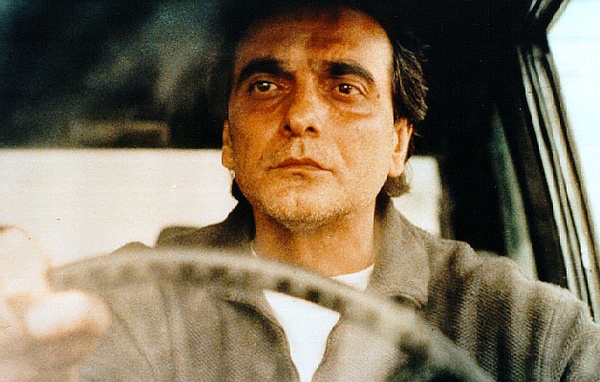 纪念阿巴斯｜那群樱桃树，是他暮年里生机勃勃的春天