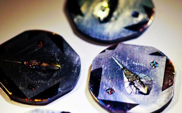 科学家用老鼠肌肉细胞创造出机器鱼，离人造心脏又近一步