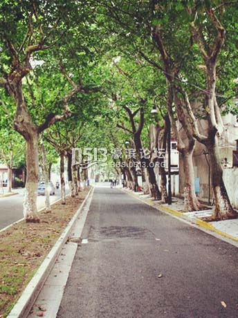 IMG_3389_副本 .jpg