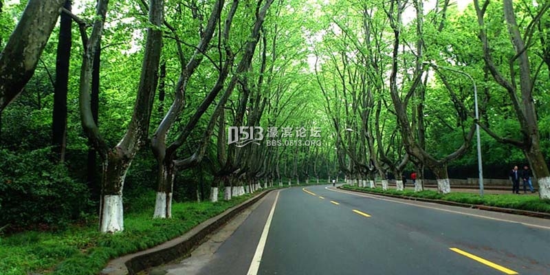 13979036315352510f862e4_副本 .jpg