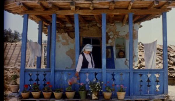 追忆阿巴斯｜《橄榄树的情人》的最后一镜