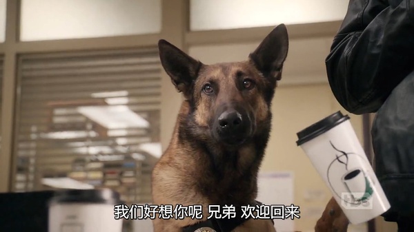 看完这部美剧，三观尽毁四肢乏力