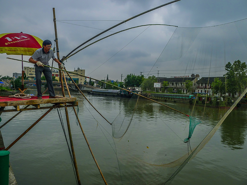 唐闸  通扬河畔扳鱼忙  (1).jpg