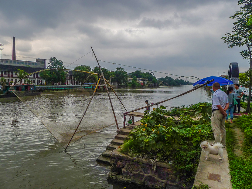 唐闸  通扬河畔扳鱼忙  (3).jpg