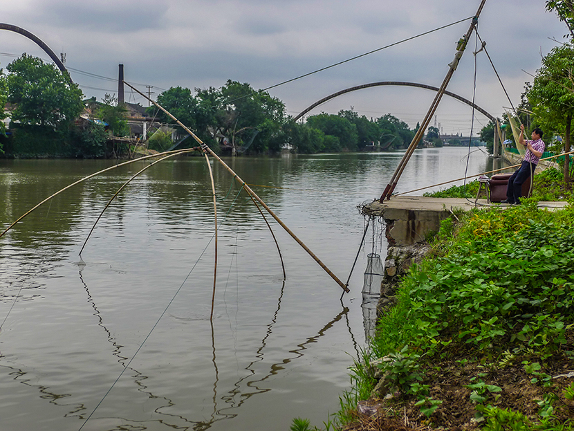 唐闸  通扬河畔扳鱼忙  (5).jpg