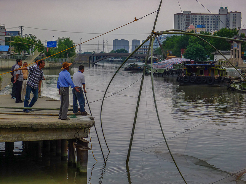 唐闸  通扬河畔扳鱼忙  (6).jpg