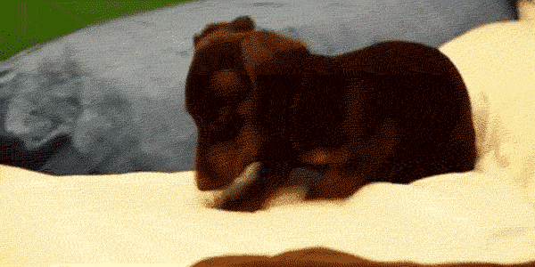 不想在旅行中和闺蜜“友尽”？出发前弄清这九件事