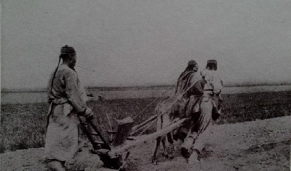 城市里的田园：都市为何离不开农村