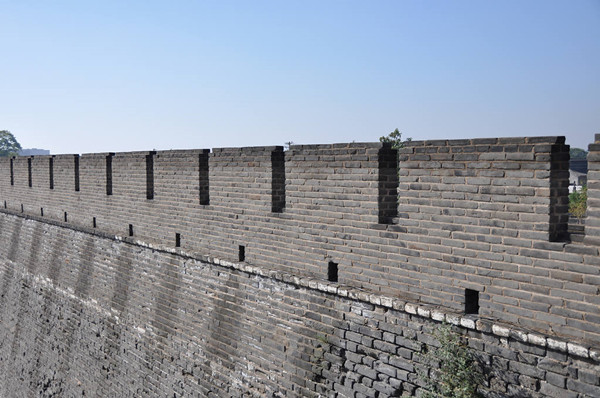 城市里的田园：都市为何离不开农村