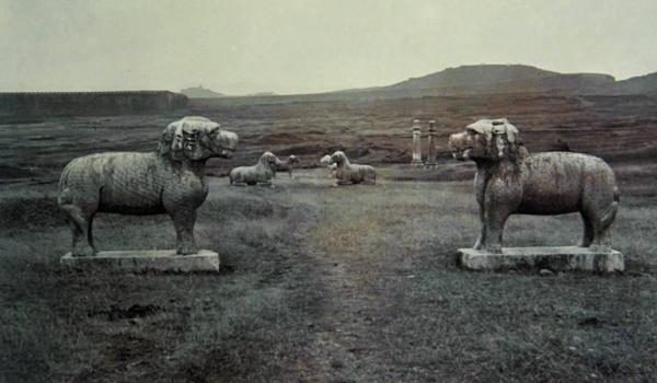 城市里的田园：都市为何离不开农村