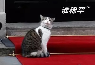 澎湃联播|英国前首相卡梅伦哼小曲背后的阴谋