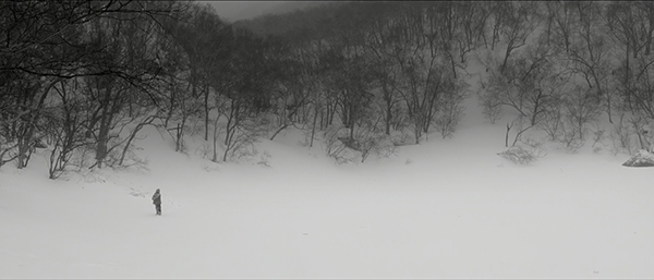 睡不着｜这个《冬》，太寂寞了