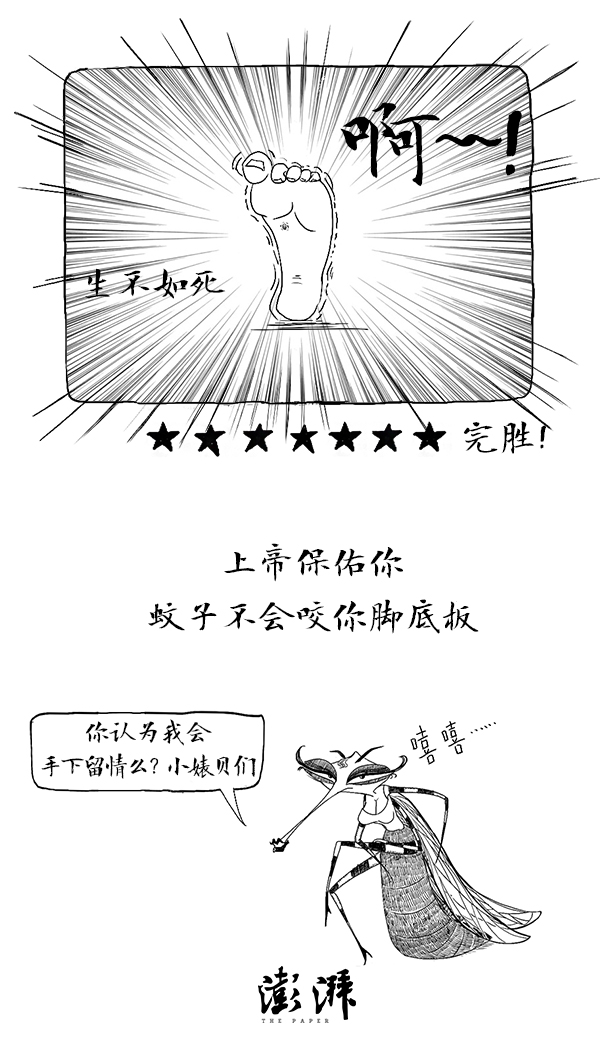 好喵漫画 | 夏季蚊事三部曲，与蚊子的那些事儿