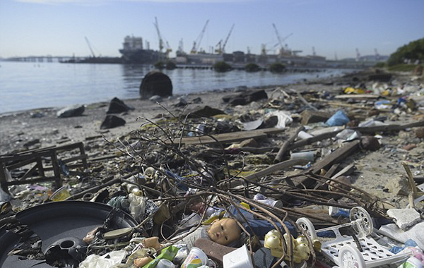 动物尸体漂浮、各色垃圾成堆……里约赛场水域堪比“厕所”？