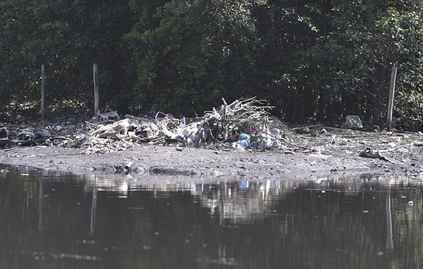 动物尸体漂浮、各色垃圾成堆……里约赛场水域堪比“厕所”？