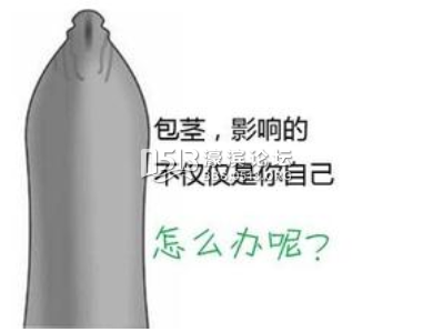 包皮包茎.png