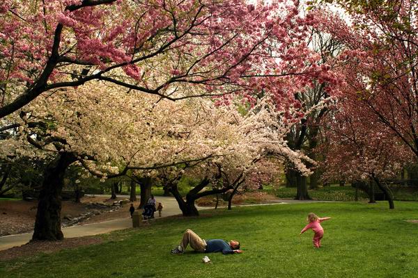 美到让人想一辈子住在里面！人生一定要去的8个植物园