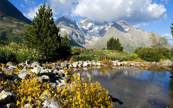 美到让人想一辈子住在里面！人生一定要去的8个植物园