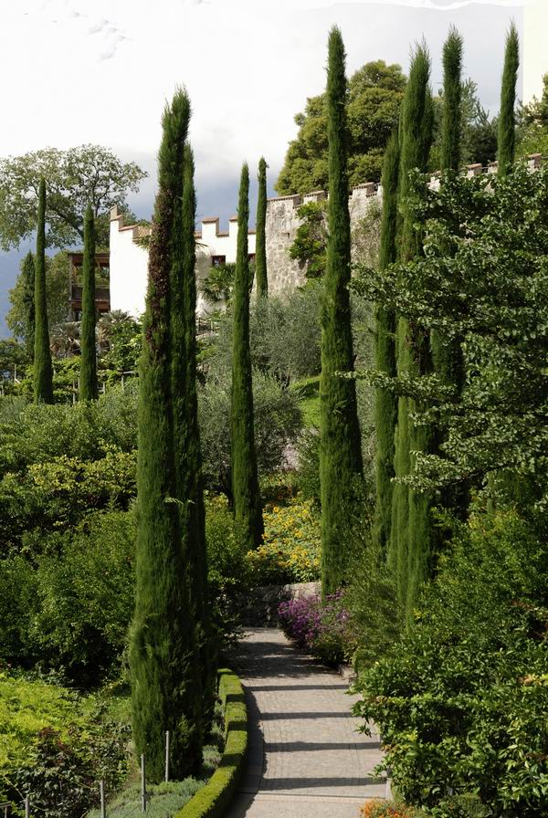 美到让人想一辈子住在里面！人生一定要去的8个植物园