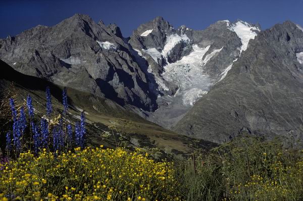 美到让人想一辈子住在里面！人生一定要去的8个植物园