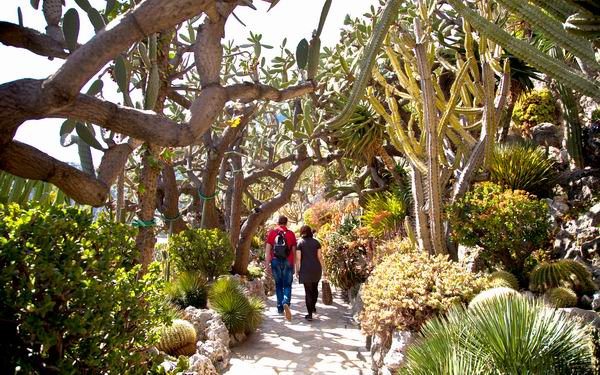 美到让人想一辈子住在里面！人生一定要去的8个植物园