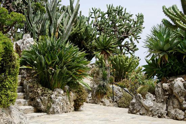 美到让人想一辈子住在里面！人生一定要去的8个植物园