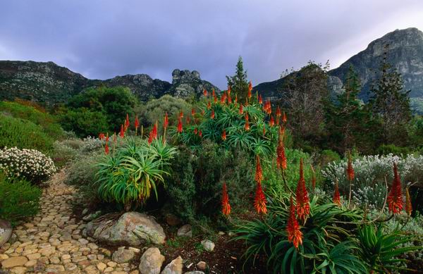 美到让人想一辈子住在里面！人生一定要去的8个植物园