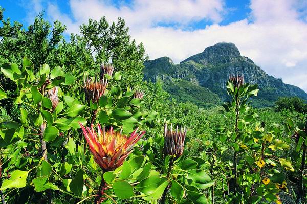 美到让人想一辈子住在里面！人生一定要去的8个植物园