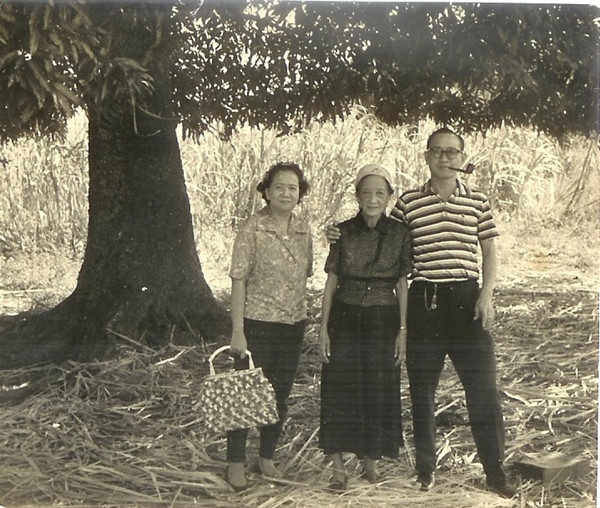 忆往情深︱陈毓贤：游离于中、菲 、美、西文化之间