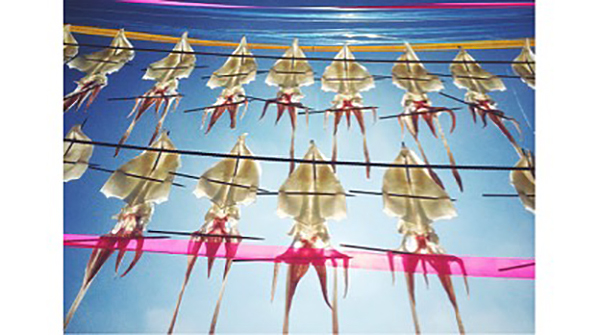 中国人在世界iPhone摄影大赛中拿了大奖