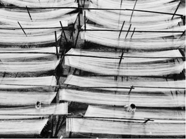 中国人在世界iPhone摄影大赛中拿了大奖