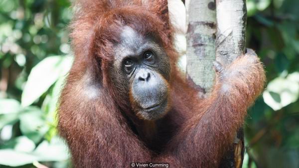 让我们来优雅地聊一聊世界上为什么要有“性”