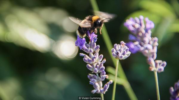 让我们来优雅地聊一聊世界上为什么要有“性”