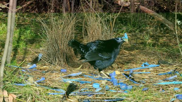 让我们来优雅地聊一聊世界上为什么要有“性”
