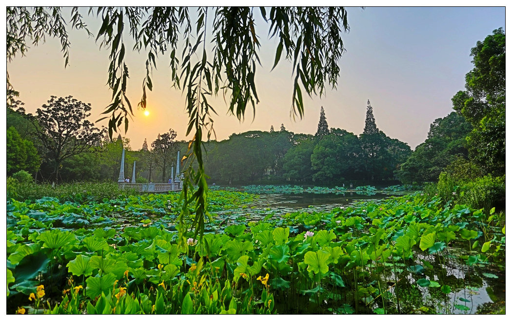 4F9A4990_     782 K.jpg